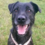 Permalink auf Chainy