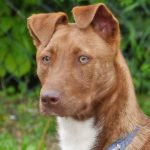 Permalink auf Whoopy