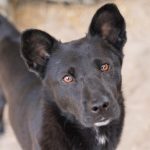 Permalink auf Heimei