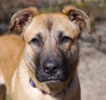 Permalink auf Bonnie