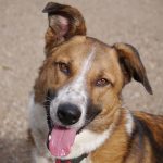 Permalink auf Rudolf