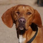 Permalink auf Jannis