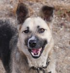 Permalink auf Pipolina