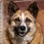 Permalink auf Soscho