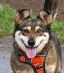 Permalink auf Alberich