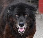 Permalink auf Frau Schwarz