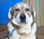 Permalink auf Ganesh