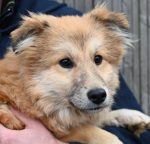 Permalink auf Brösel