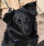 Permalink auf Casper