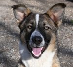 Permalink auf Charly